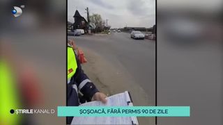 VIDEO-Diana Șoșoacă a rămas fără permis de conducere! Care este perioada pentru care aceasta nu va mai avea carnet