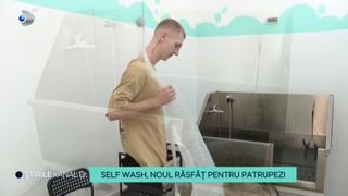 VIDEO - Self wash, noul răsfăț pentru patrupezi. Proprietarii pot petrece mai mult timp cu animăluțele lor