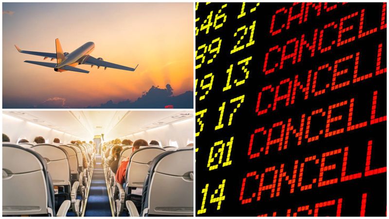 avion oameni in avion zboruri anulate