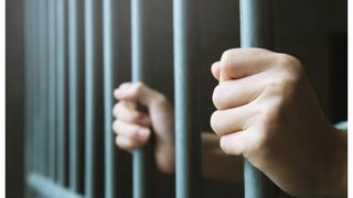 Checheș extrădat România