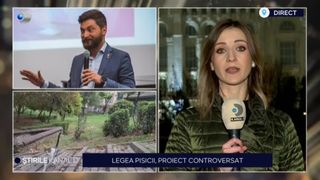 VIDEO-Legea pisicii, proiect controversat. Vestea neplăcută aflată de iubitorii de feline