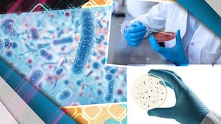 O nouă boală mortală înspăimântă omenirea! Primele cazuri au fost deja raportate. Unde s-au depistat?