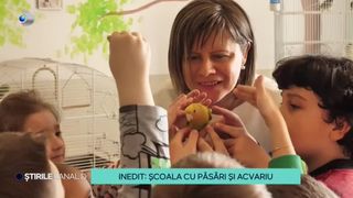 VIDEO-Școala cu păsări și acvariu, &icirc;n Satu Mare. Elevii abia așteaptă să petreacă pauzele &icirc;n acest loc plin de viață