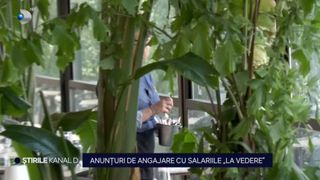 VIDEO - Salariul &bdquo;la vedere&rdquo;, noua strategie adoptată de angajatori. Ce spun angajații despre acest lucru?