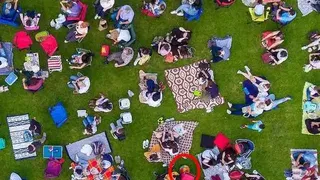 Poți să găsești mingea în maxim 10 secunde?