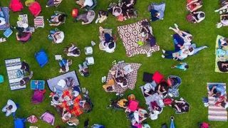 Iluzie optică pentru cei cu IQ ridicat. Poți să găsești mingea în maxim 7 secunde?