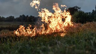 Incendiu &icirc;n Delta Văcărești! Autoritățile intervin de urgență