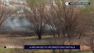 VIDEO-Delta Văcărești din Capitală, cuprinsă din nou de flăcări. Pompierii au luptat cu incendiul câteva ore