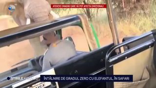 VIDEO-Aventură &icirc;n Safari aproape de un final tragic! Un camion cu turiști a fost atacat de un elefant