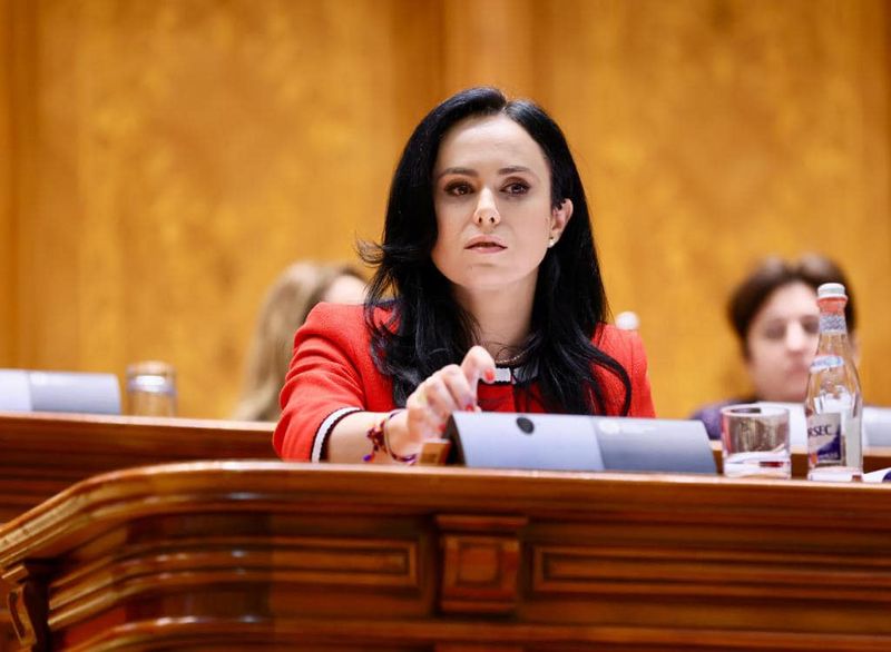 Ministrul Muncii se opune scurtării concediului de creșterea copilului