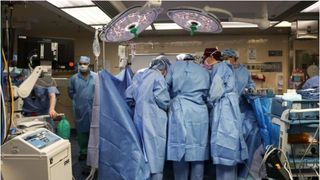 Un pacient de 62 de ani a primit un rinichi de la un porc modificat genetic. Primul transplant din lume de acest fel