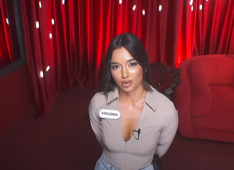 virginia casa iubirii