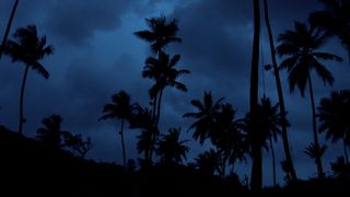 O noapte furtunoasă, sâmbătă, la „Insula de 1 milion”! Află care sunt următoarele provocări din reality show-ul de aventură prezentat de Cosmin Cernat