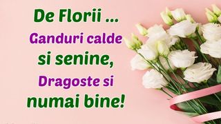 mesaj florii