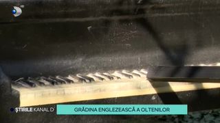 VIDEO-Grădina englezească a oltenilor a urcat rapid în topul celor mai instagramabile locuri din țară:  ,,Nu ai cum să nu fotografiezi această zonă minunată''