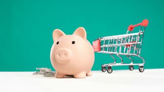 Cursul valutar BNR pentru 29 martie 2024: Noile valori ale monedelor, anunțate de BNR