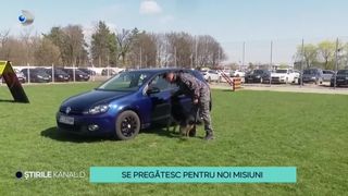 VIDEO-Se pregătesc pentru noi misiuni. C&acirc;inii cu funcții de agenți speciali vor patrula la evenimentele din noul sezon