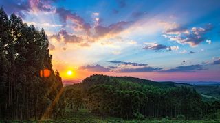 Valul de aer tropical aduce recorduri de temperatură pentru luna martie