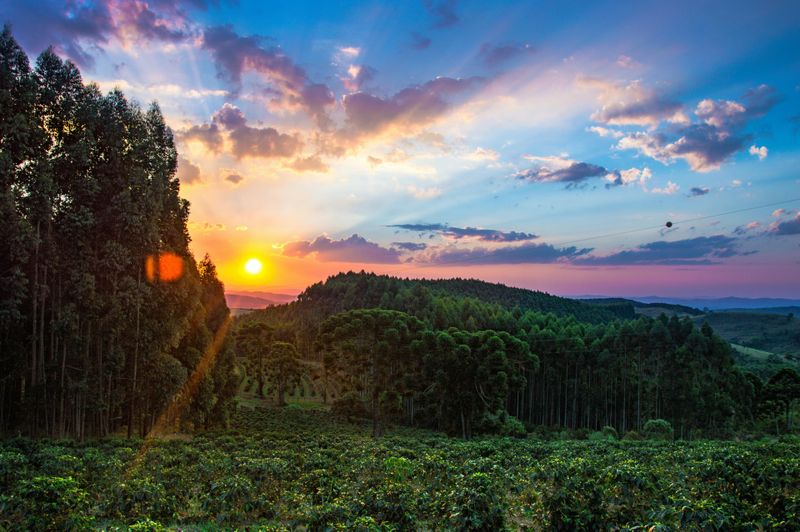 Valul de aer tropical aduce recorduri de temperatură pentru luna martie