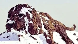 Primul lucru pe care îl vezi în iluzia optică de mai jos spune multe despre tine. Ești norocos sau ghinionist?