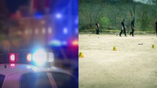 masina de politie cautari