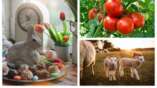 Cât au ajuns să coste carnea și legumele înainte de Paște? Prețurile au explodat din nou