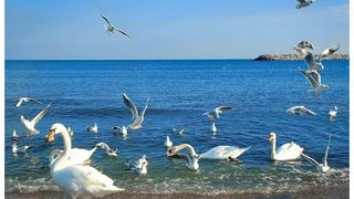 Prețuri litoral 2024