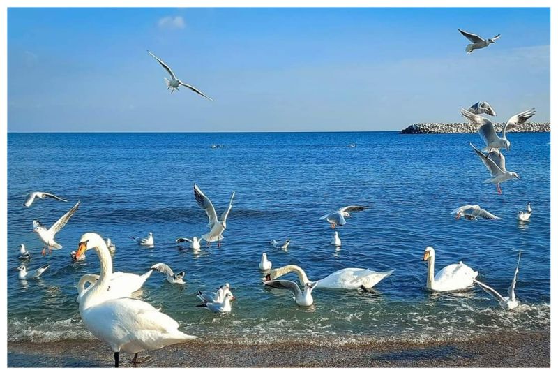 Prețuri litoral 2024