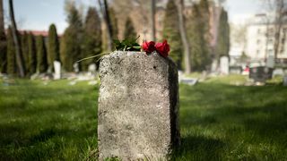 piatra de mormant cu trandafiri