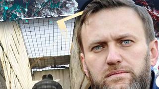 aleksei naval&icirc;i