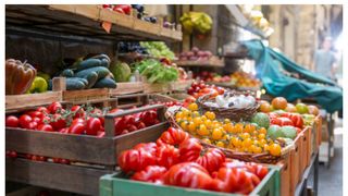 Preț varză rom&acirc;nească