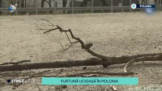 VIDEO-Natura s-a dezlănțuit în Polonia! Cinci oameni și-au pierdut viața, în urma unei furtuni puternice abătute asupra sudului țării