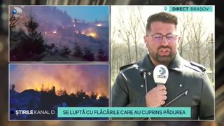 VIDEO-Se luptă cu flăcările care au cuprins pădurea. Din cauza vântului, o misiune grea o au și echipele de pompieri 