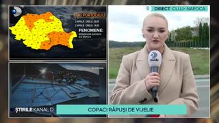 VIDEO-Coduri de vijelii și vânt în România! Meteorologii au emis două coduri de vreme rea