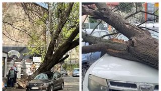 V&acirc;nt puternic Capitală