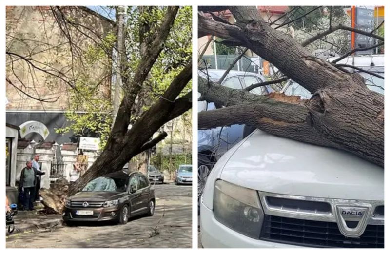 Vânt puternic Capitală