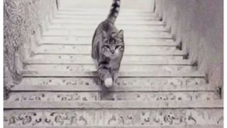 Test de personalitate:  Ceea ce vezi mai &icirc;nt&acirc;i &icirc;n imagine dezvăluie dacă ești atent la detalii