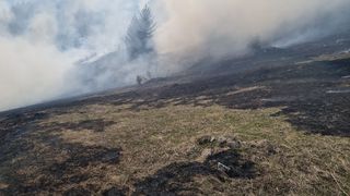 Incendiu de proporții &icirc;ntr-o pădure de pin din T&acirc;rgu Ocna. Pompierii au avut nevoie de intervenția ajutoarelor de la București, cu două avioane militare, pentru stingerea flăcărilor