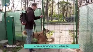 VIDEO - Adună &bdquo;norocul&rdquo; cu m&acirc;na ta! Noua campanie prin care stăp&acirc;nii animăluțelor primesc punguțe pentru a str&acirc;nge mizeria lăsată &icirc;n urmă