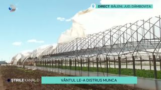 VIDEO - V&acirc;ntul le-a distrus munca localnicilor din D&acirc;mbovița! Solariile au fost complet ruinate