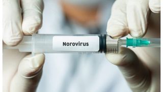 Norovirus liceu Timișoara