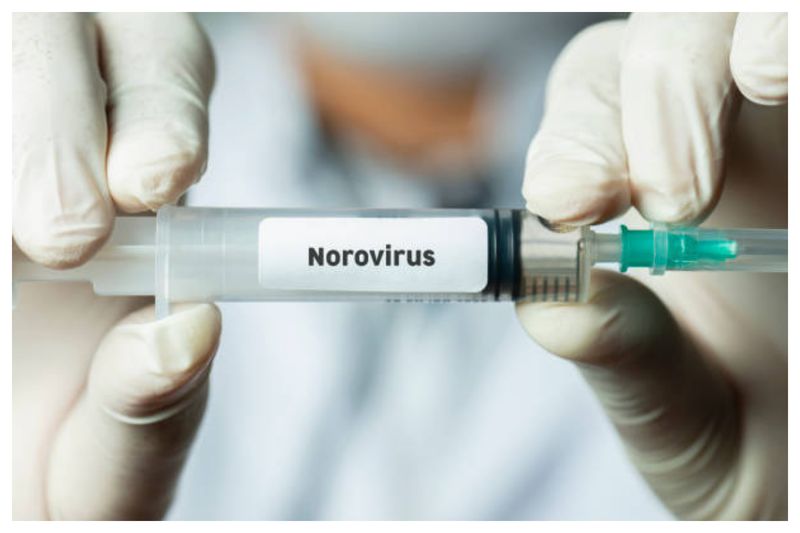 Norovirus liceu Timișoara