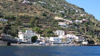 Insula italiană invadată de capre le oferă gratis, pe internet. Cum poți să "adopți" un exemplar