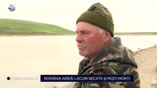 VIDEO- România aridă: lacuri secate și pești morți. Peisaje de coșmar create de secetă