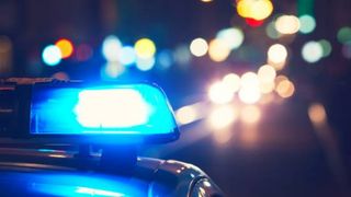 Polițistă bătaie copii