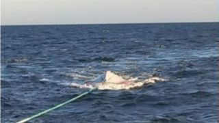 obiect plutitor misterios