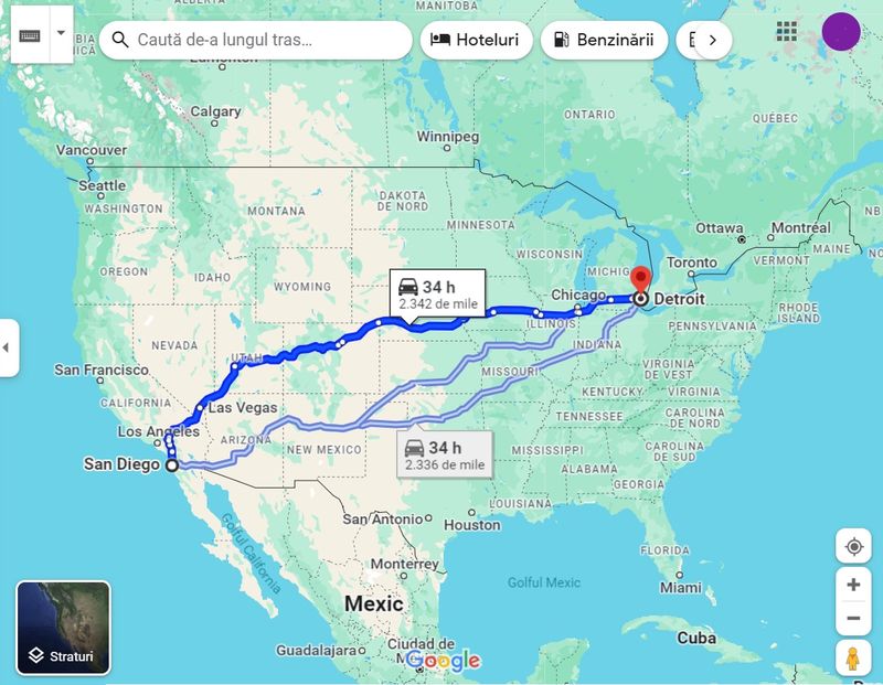 Drumul parcurs de cățelușa Mishka