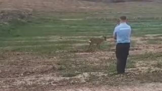 jandarm care a salvat o caprioara