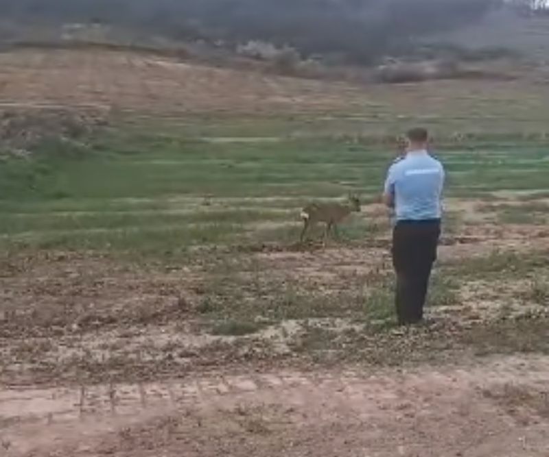 jandarm care a salvat o caprioara