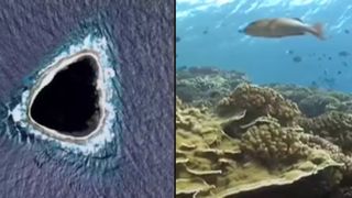 Ce este "gaura neagră" din Oceanul Pacific